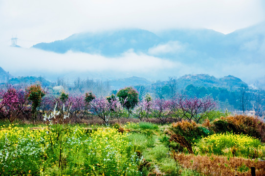 山村春景醉人心扉