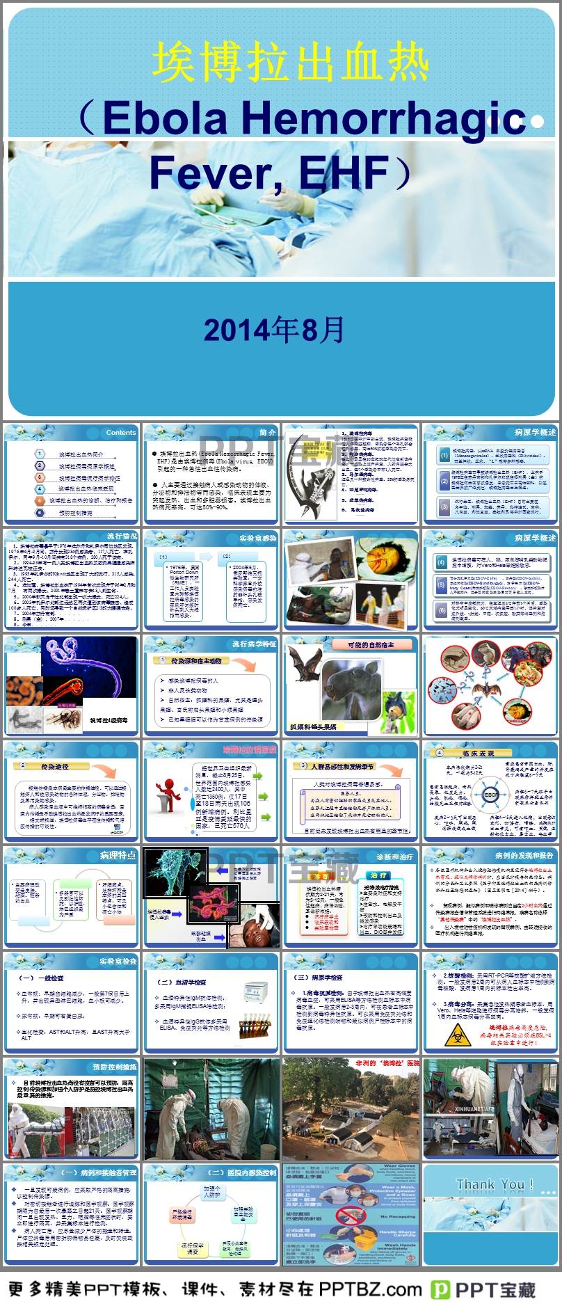 免费病毒课件下载，数字化时代教育资源的创新与变革之旅