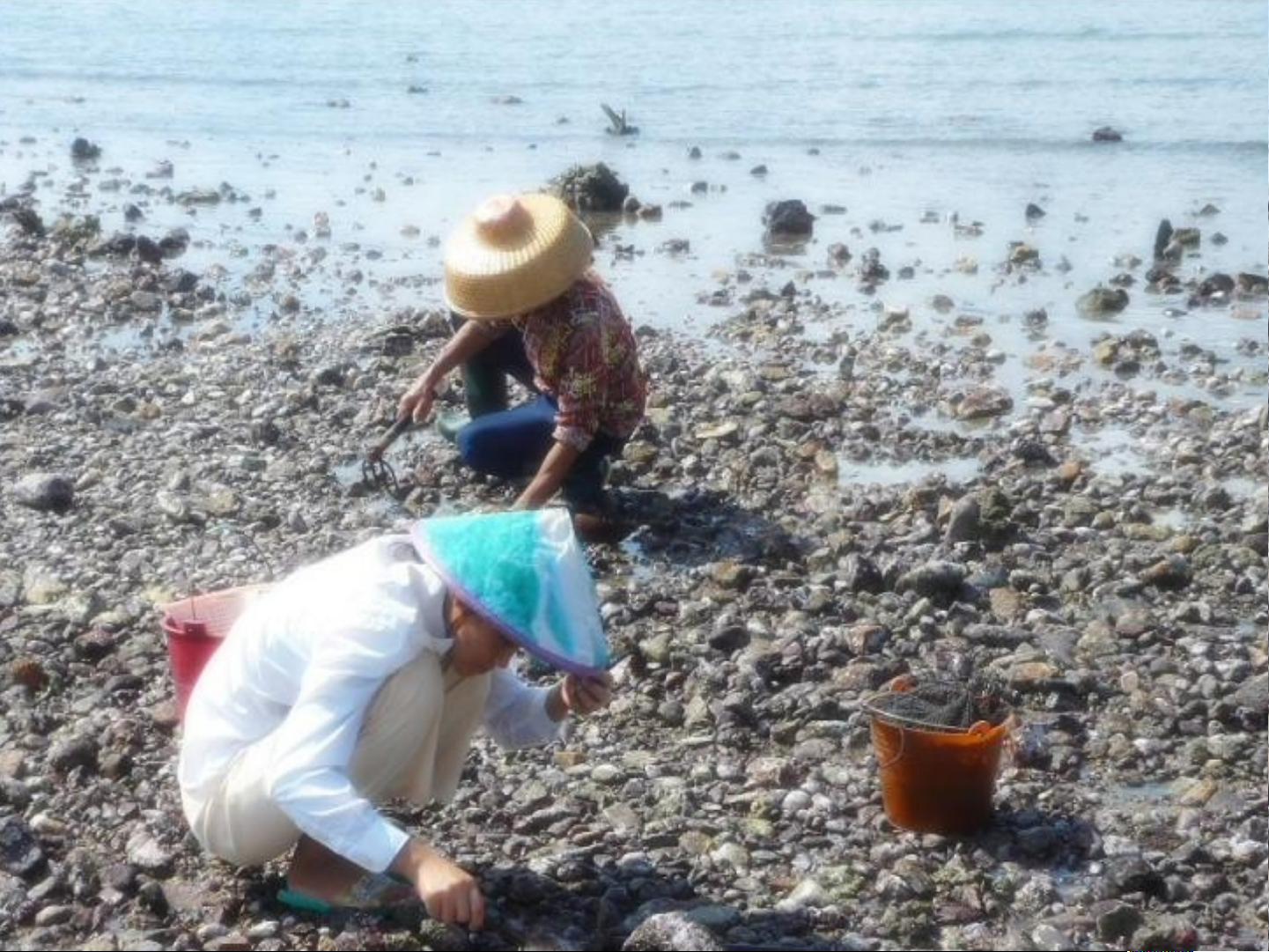 赶海PPT免费下载，海洋探索之旅与收获喜悦的乐园体验