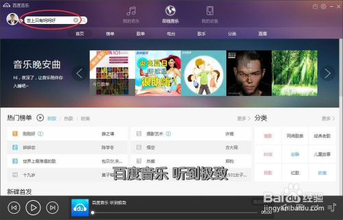 音乐海洋探秘之旅，免费歌曲下载指南