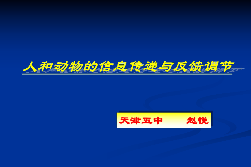 动物信息化课件，免费下载途径与解析指南