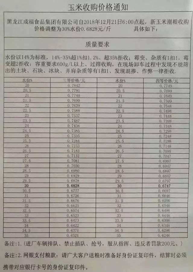 忻州玉米价格行情概览，最新动态与趋势分析