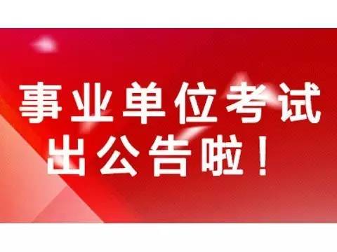 南乐最新招聘动态及其深远影响