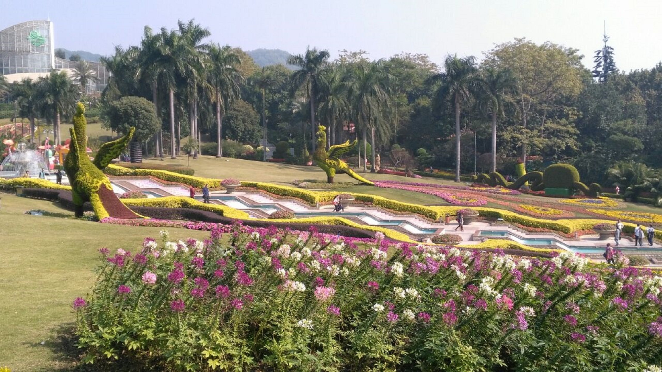 云台花园全新风采，探索之旅启程